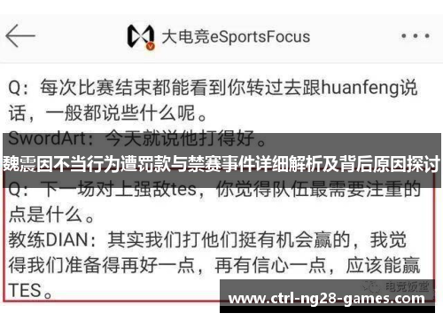 魏震因不当行为遭罚款与禁赛事件详细解析及背后原因探讨