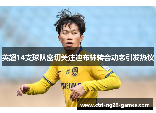 英超14支球队密切关注迪布林转会动态引发热议